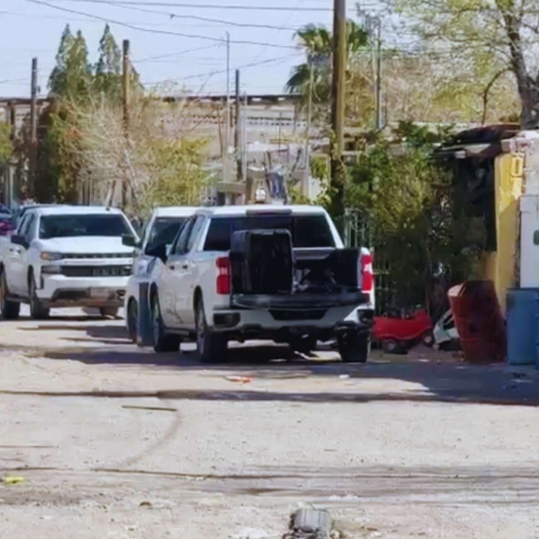 Agente Canino ayudó a Localizar Cuerpo Enterrado
