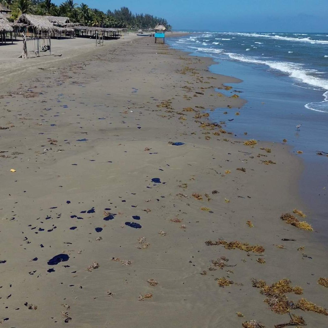 Gobernadora de Veracruz Revela Origen Derrame Hidrocarburo al Sur del Estado Barco Privado Petrolero