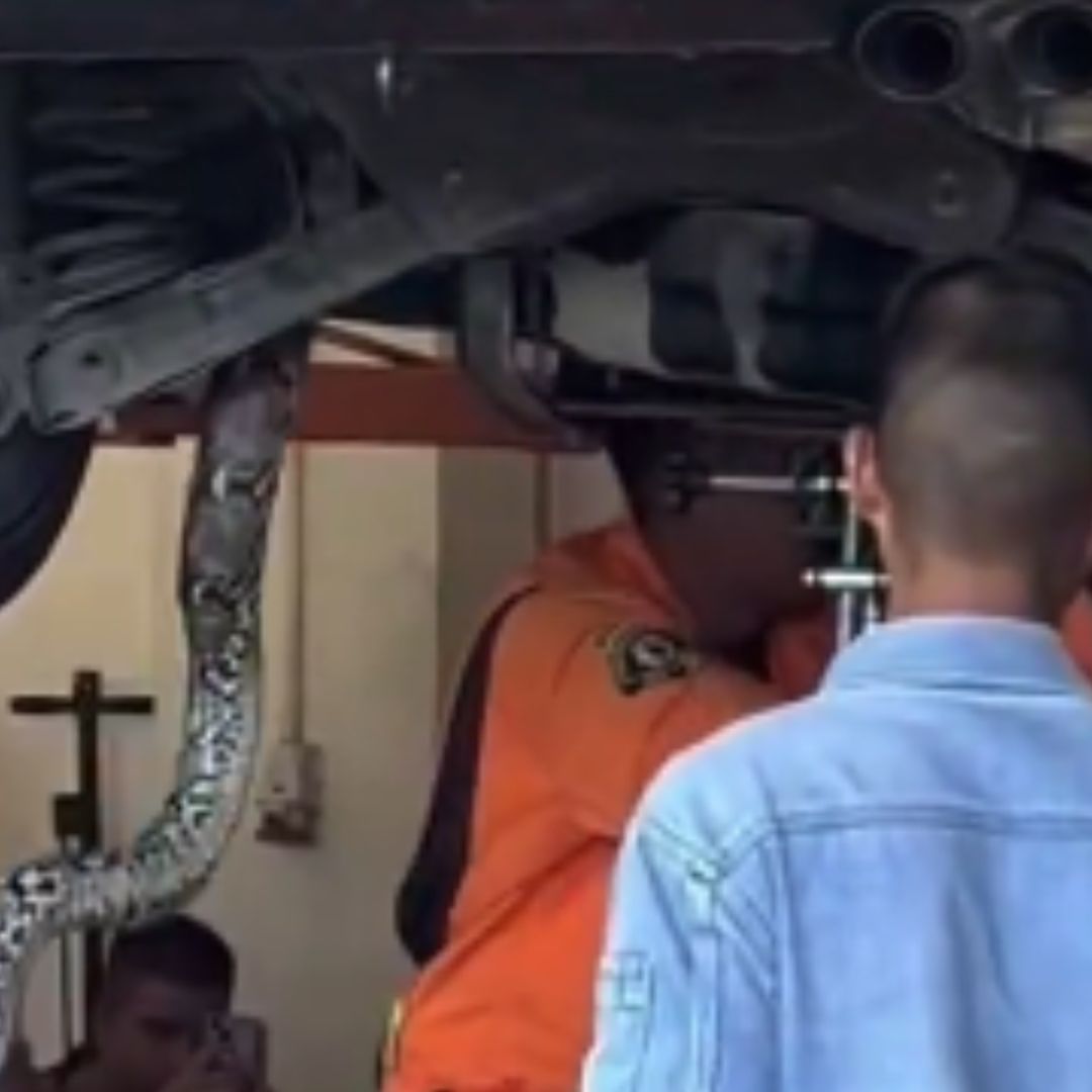 Enorme serpiente se esconde debajo de un automóvil en Tailandia