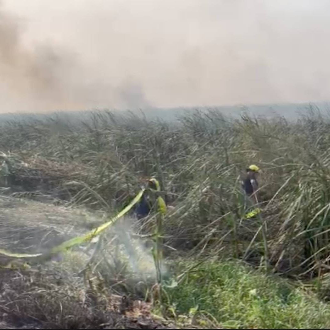Incendio en Zona de Pantano Ocasiona el Cierre de la Carretera Coatzacoalcos Minatitlán Las Matas Veracruz
