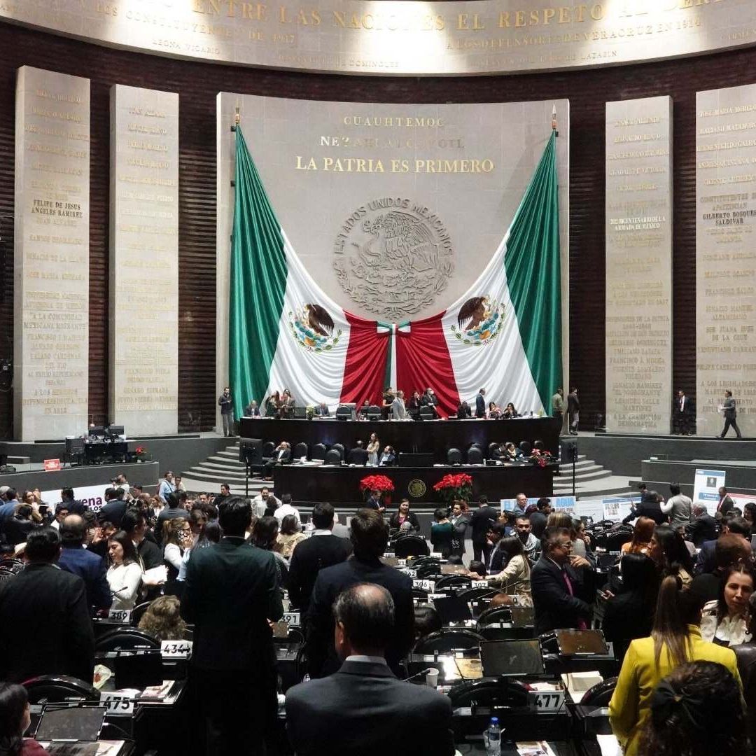 La reforma necesita al menos 334 votos a favor.