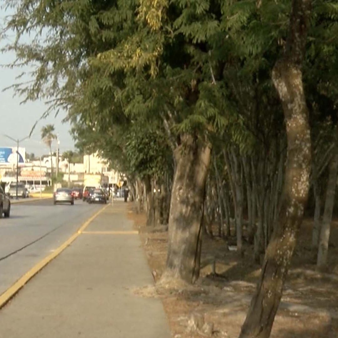 Joven Denuncia Presunto Acoso en Laguna del Carpintero