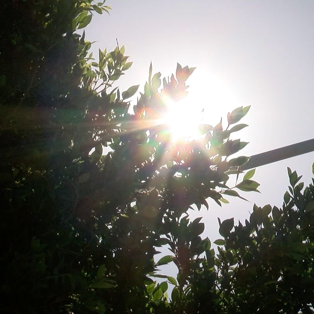El Mes de Julio Más Caliente de la Historia: Mexicali Supera Nuevo Récord de Calor con 52.4 °C