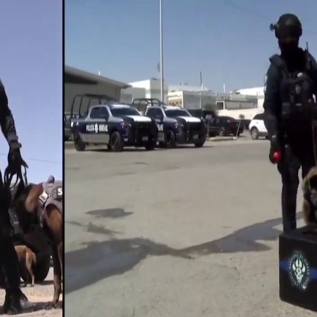 ‘Bruno’ y ‘Cuate’ Son Premiados como 'Mejores Perros 2023' en Ciudad Juárez