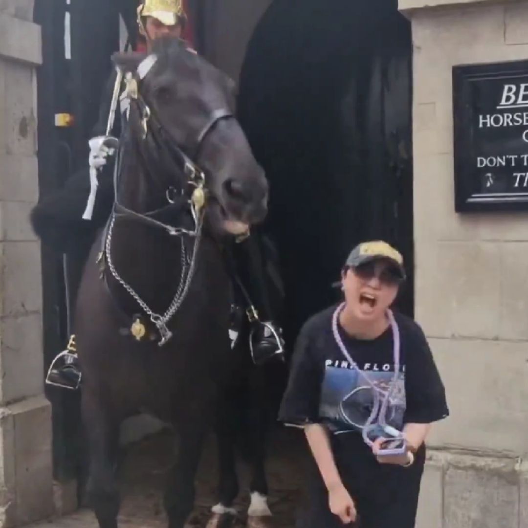 Caballo muerde a turista que se acercó demasiado