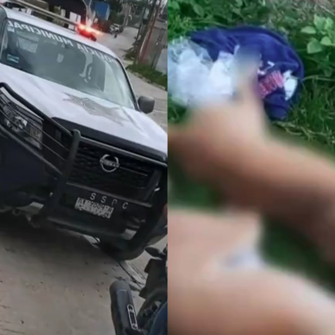 Autoridades hallan decenas de perros y gatos envenenados en la región mixteca de Oaxaca