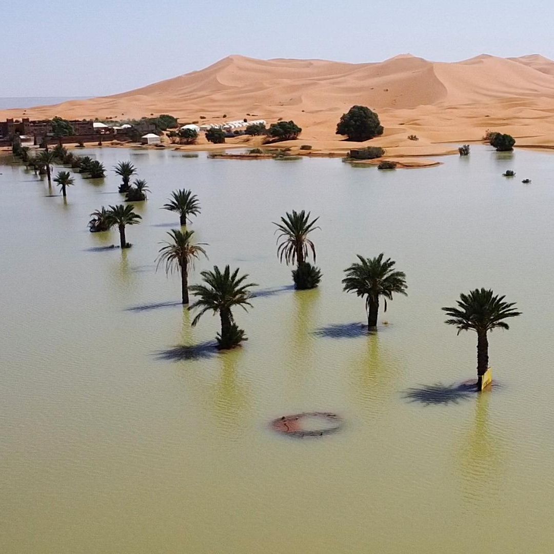 Inundaciones Inusuales en el Desierto del Sahara Reviven Lago Seco Desde Hace 50 Años