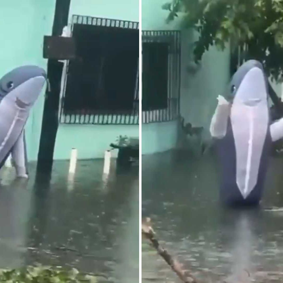 Captan a persona disfraza de tiburón en calle inundada de Veracruz