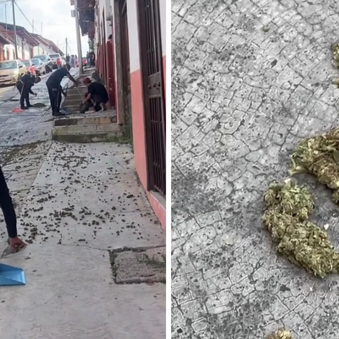 Video | Turistas Visitan Pátzcuaro y al Salir de Comer Encuentran Calle Tapizada con Marihuana
