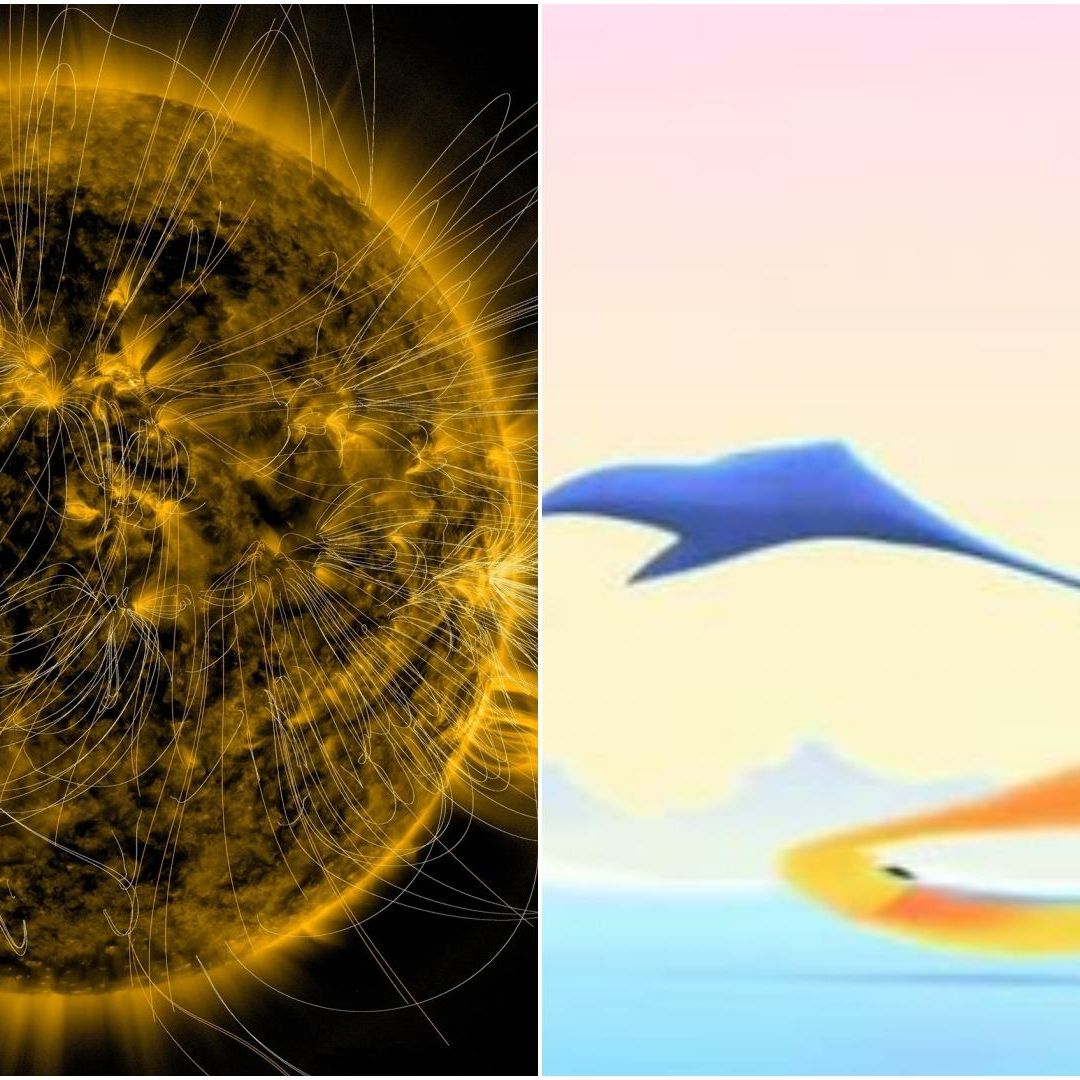 Descubren Fenómeno Basado en el Correcaminos de Looney Tunes en Erupción Solar