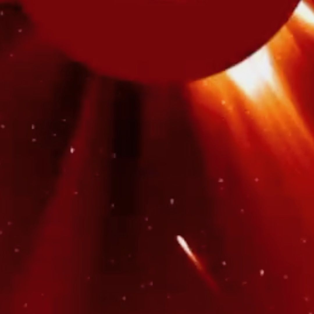 Cometa C2024 S1 Atlas desaparece al golpear el Sol
