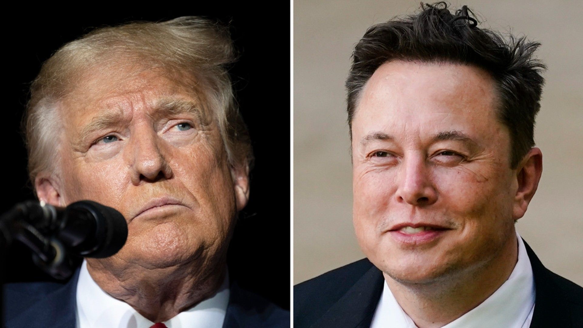 Donald Trump y Elon Musk