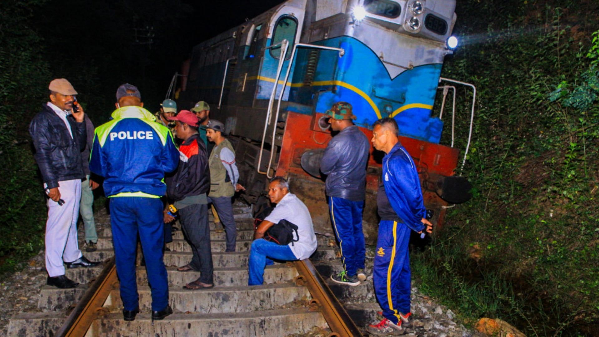 Tren atropella a elefantes y descarrila