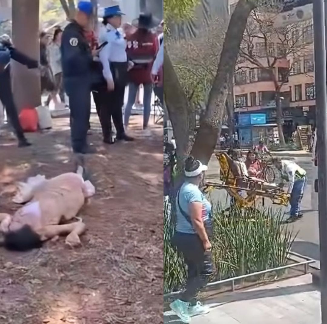 Por las lesiones, la mujer tuvo que ser trasladada al hospital.