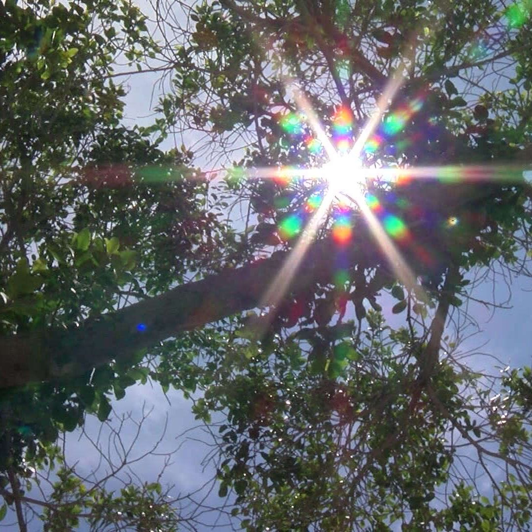 Hermosillo Registra Temperatura de 42º Centígrados Hoy 10 de Abril de 2025