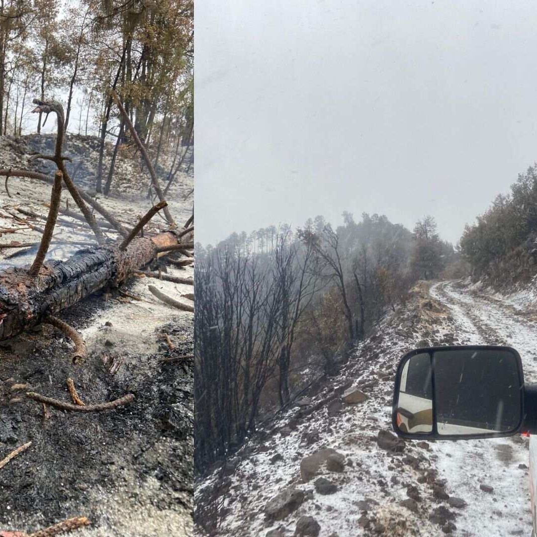 Reportan Autoridades Caída de Aguanieve en Nacori Chico Incendio Forestal