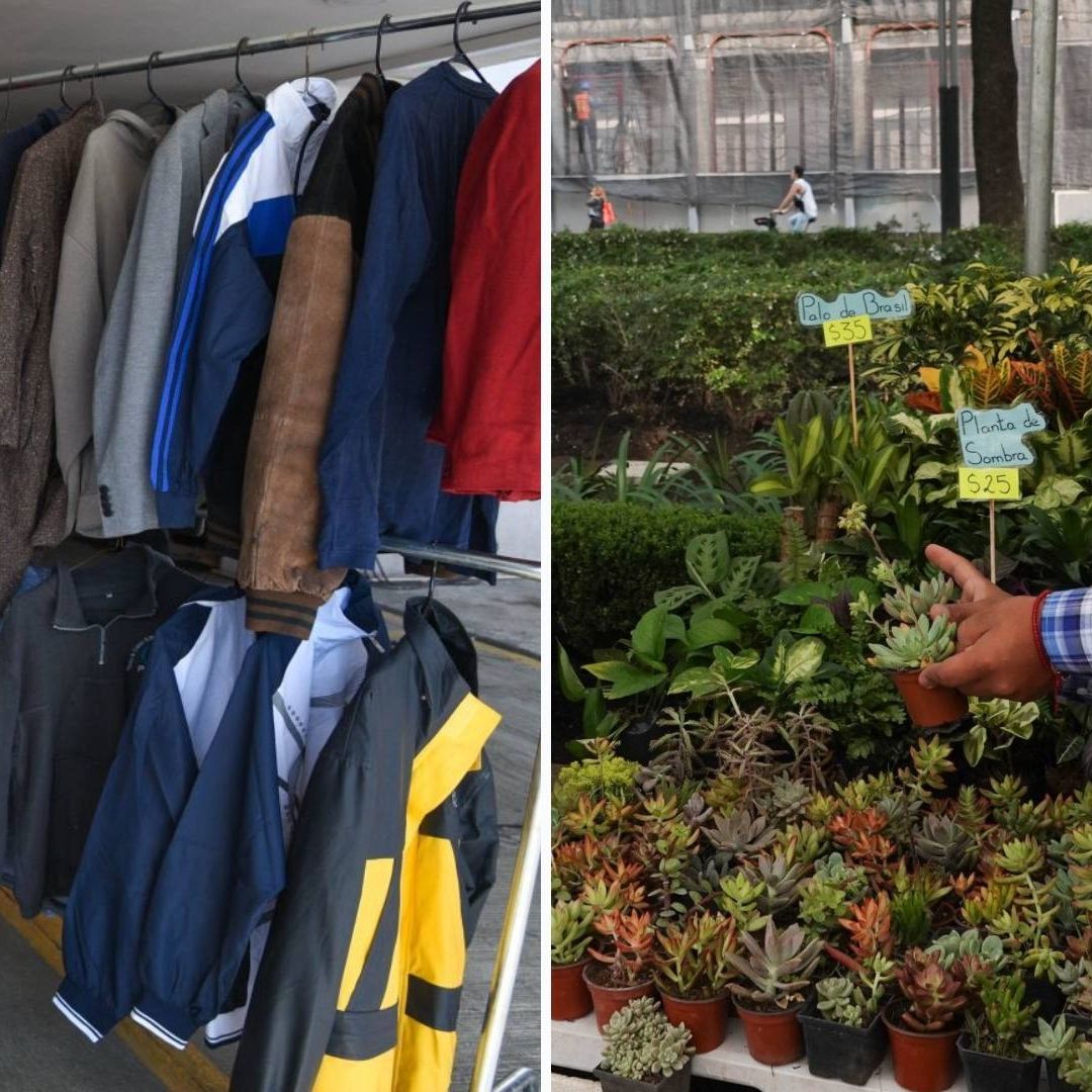 Mega Jornada de Reciclaje 2025: ¿Dónde Cambiar Ropa Usada y Textiles por Plantas en CDMX?