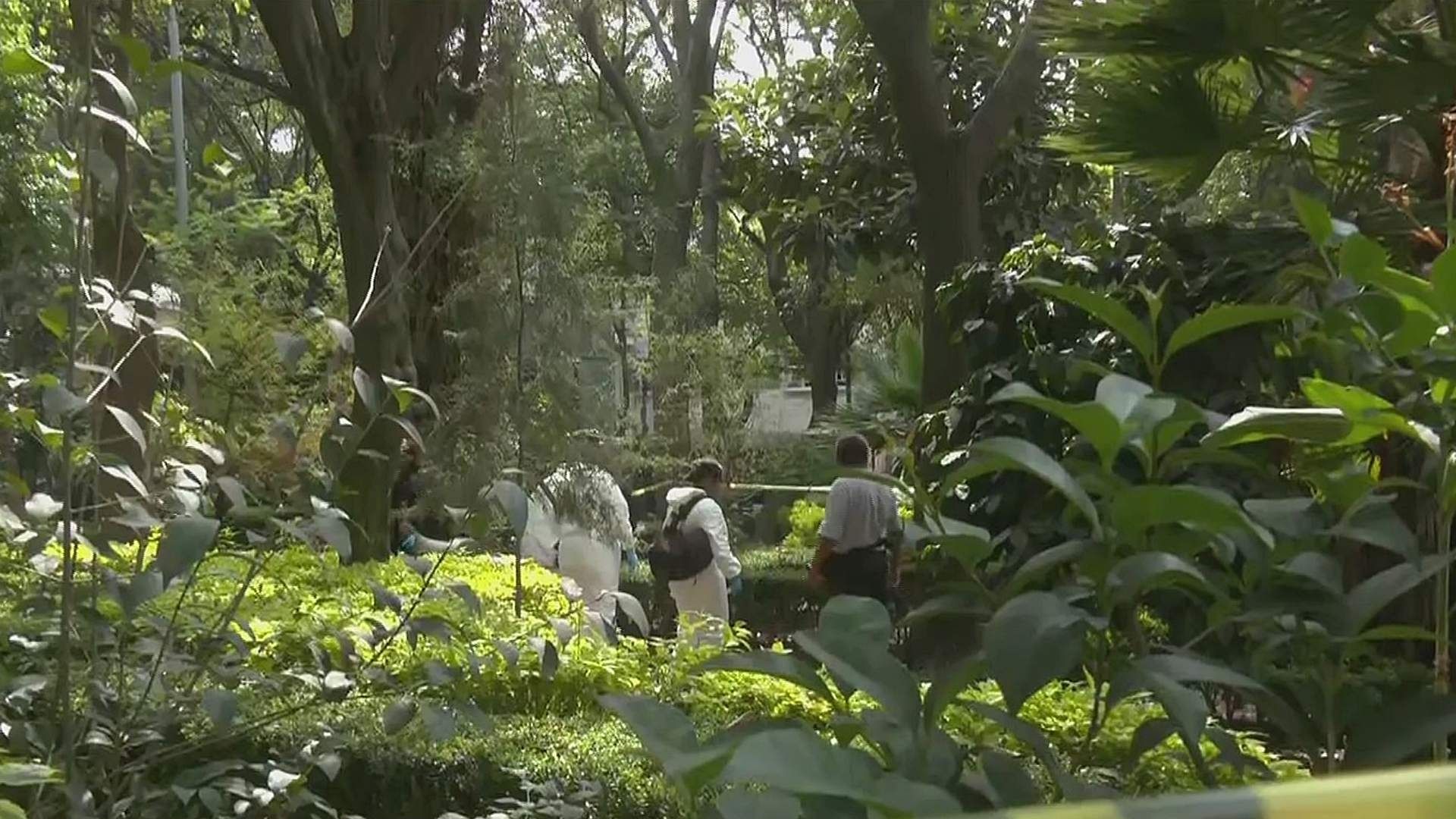 Peritos realizan diligencias en Parque Miraflores ante hallazgo de hombre sin vida