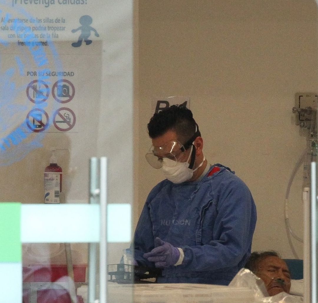 Salud Confirma 6 Casos de Gusano Barrenador en Humanos; se Registra el Primero en Campeche