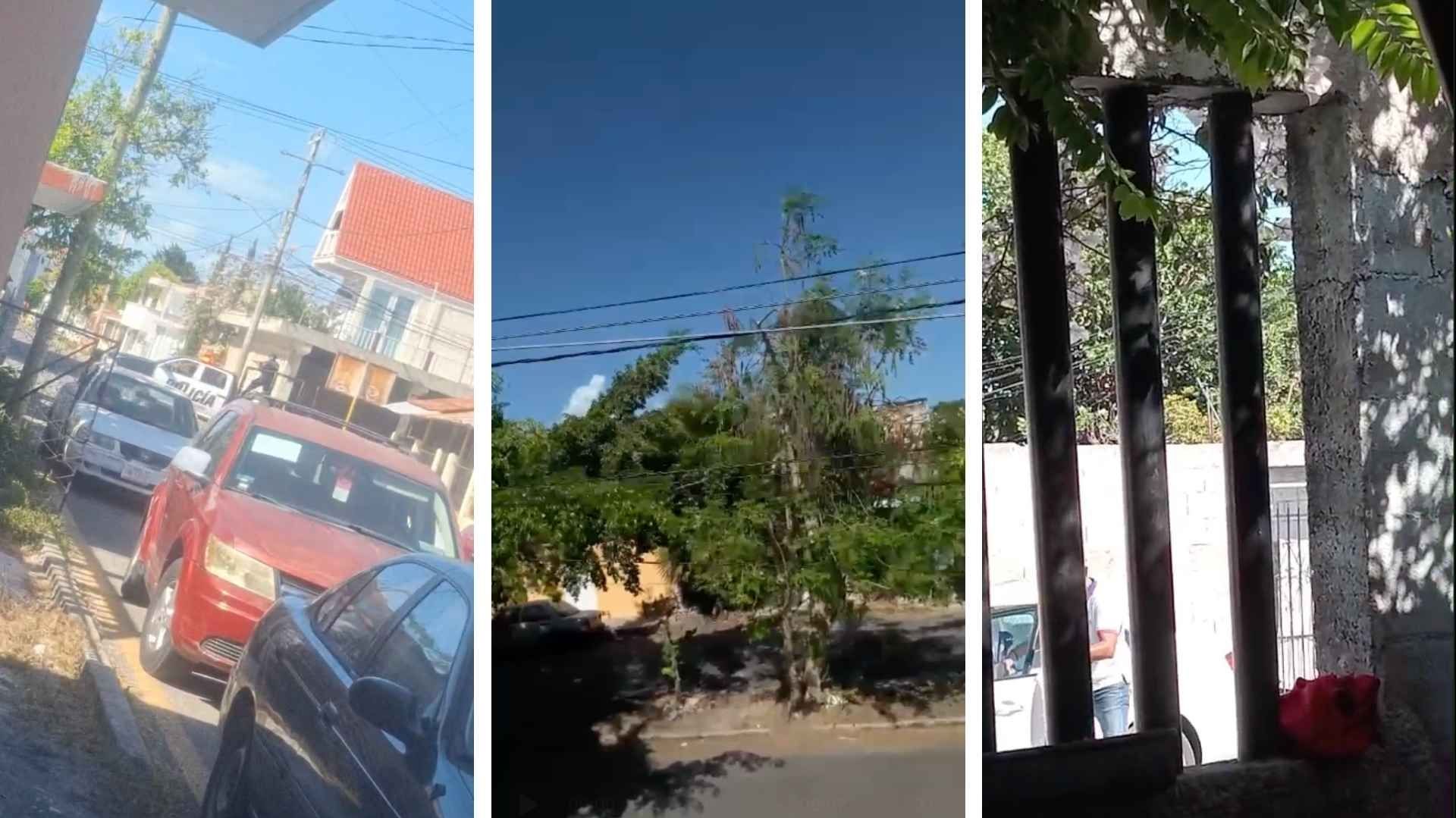 Fueron Aseguradas Armas de uso Exclusivo del Ejército | Foto: N+