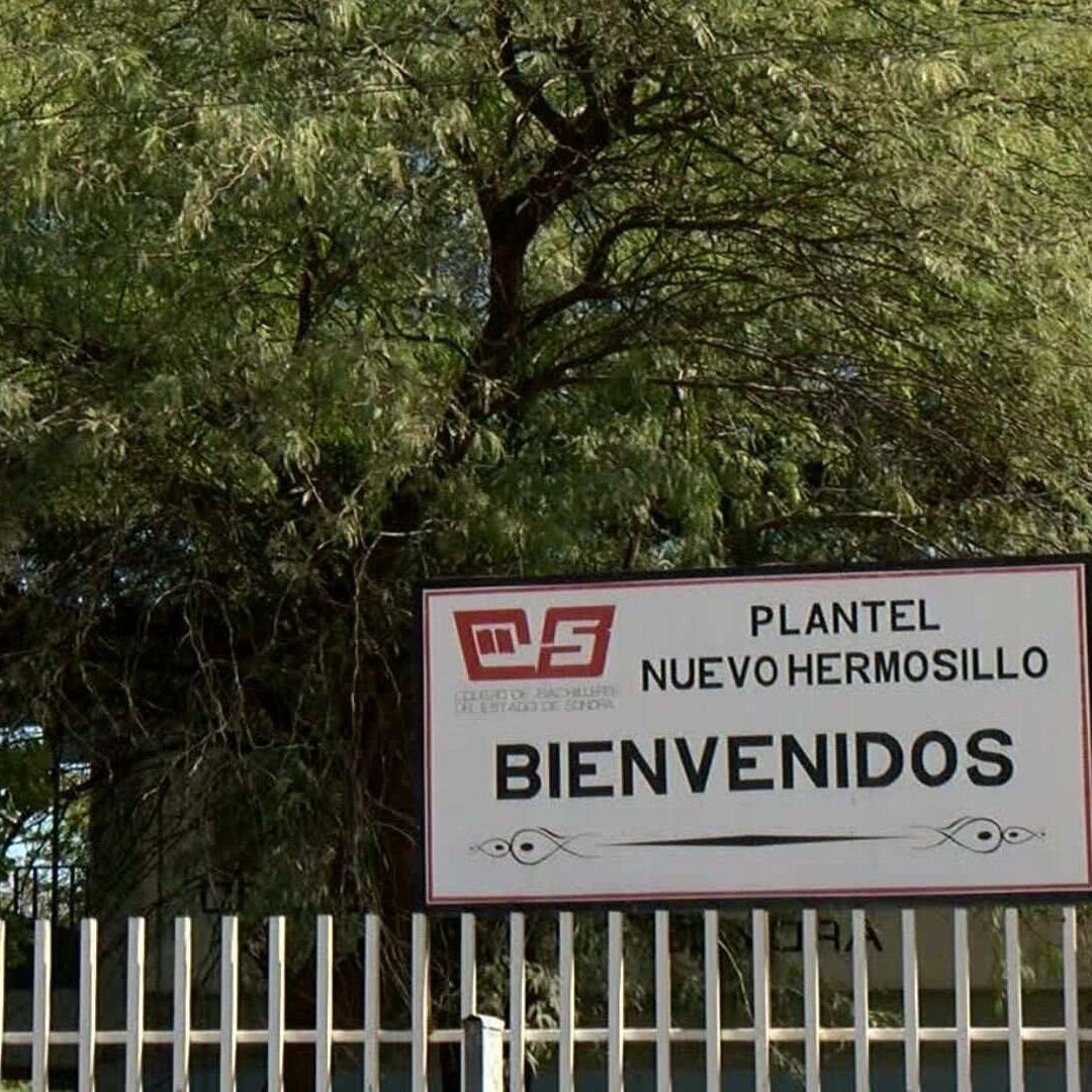 ¿Cómo es el Proceso de Inscripción tras la Asignación de Preparatorias en Sonora?