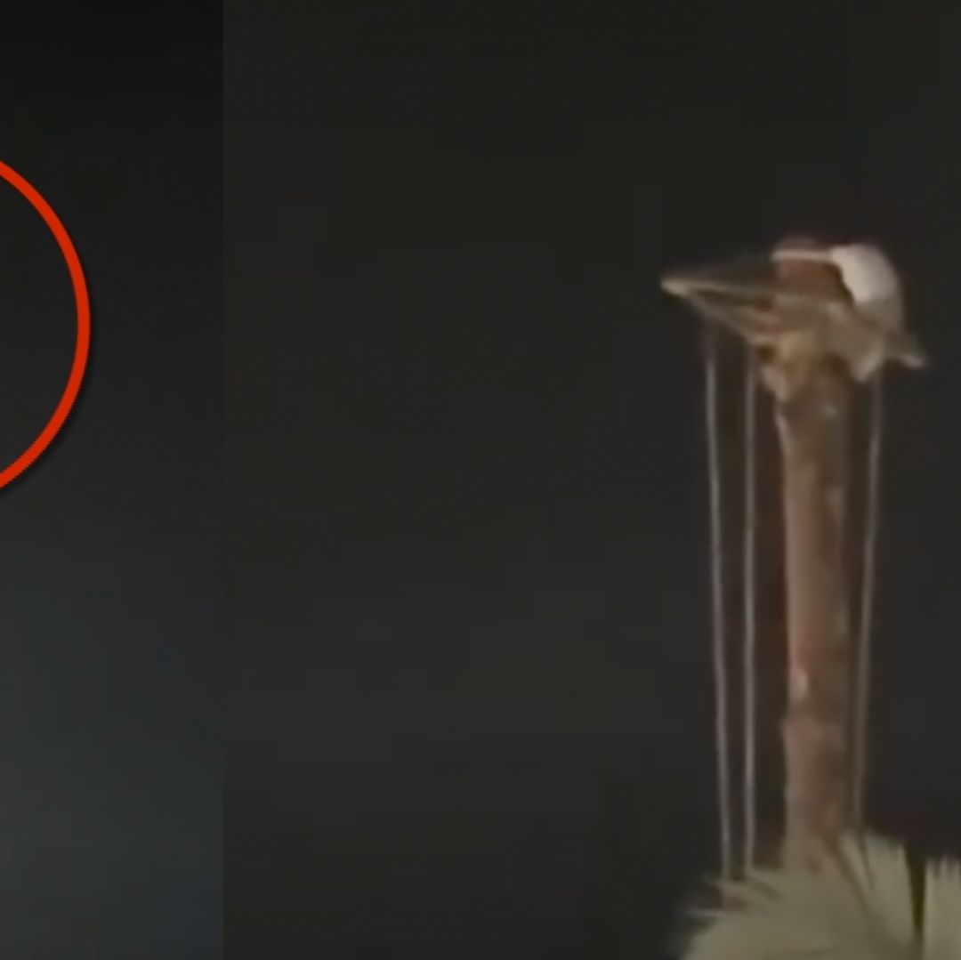 Video Rescate Mujer Turista Estado Ebriedad Escaló Mástil Voladores Cuetzalan Puebla