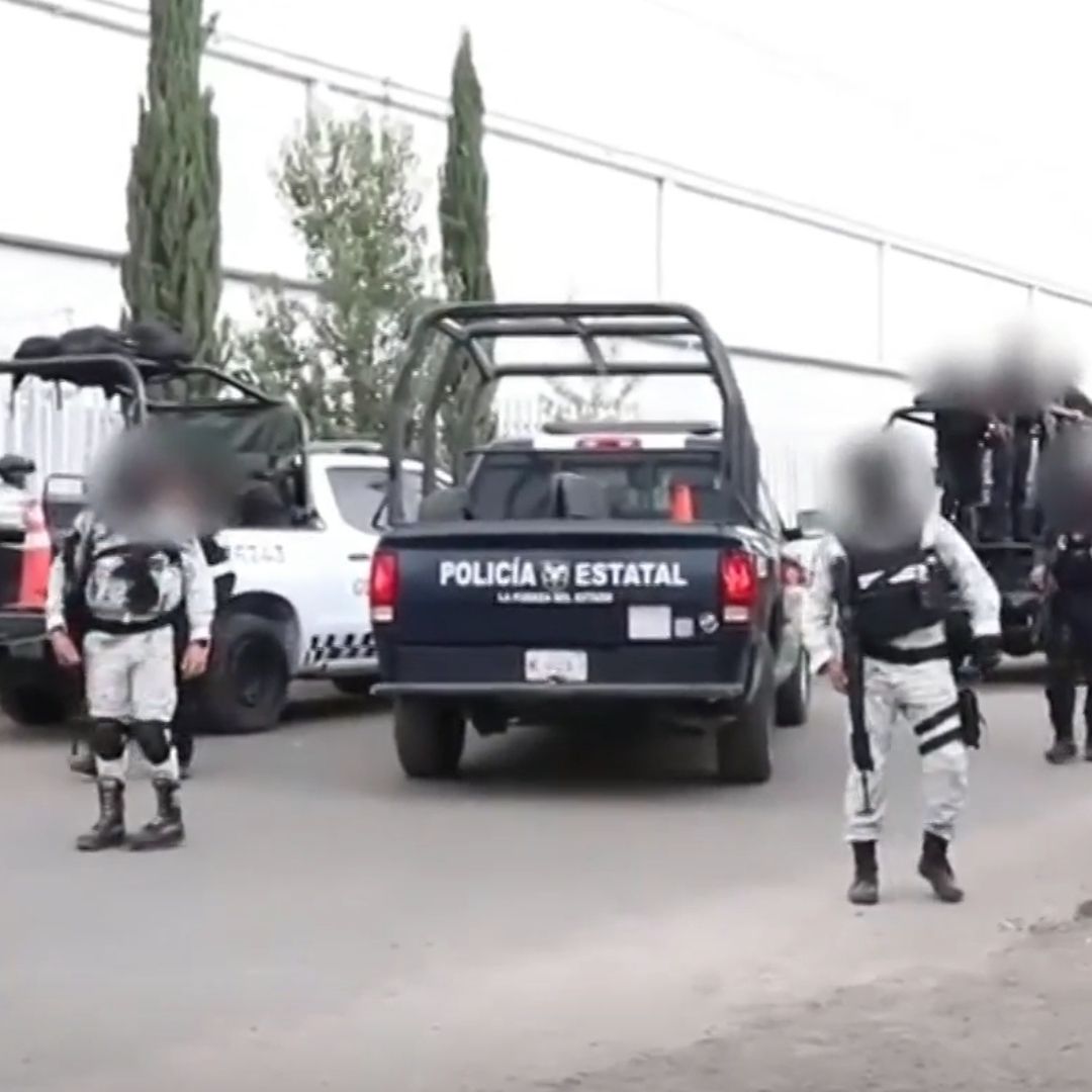 Desarticulan Banda Criminal y Rescatan a Varios Animales Exóticos