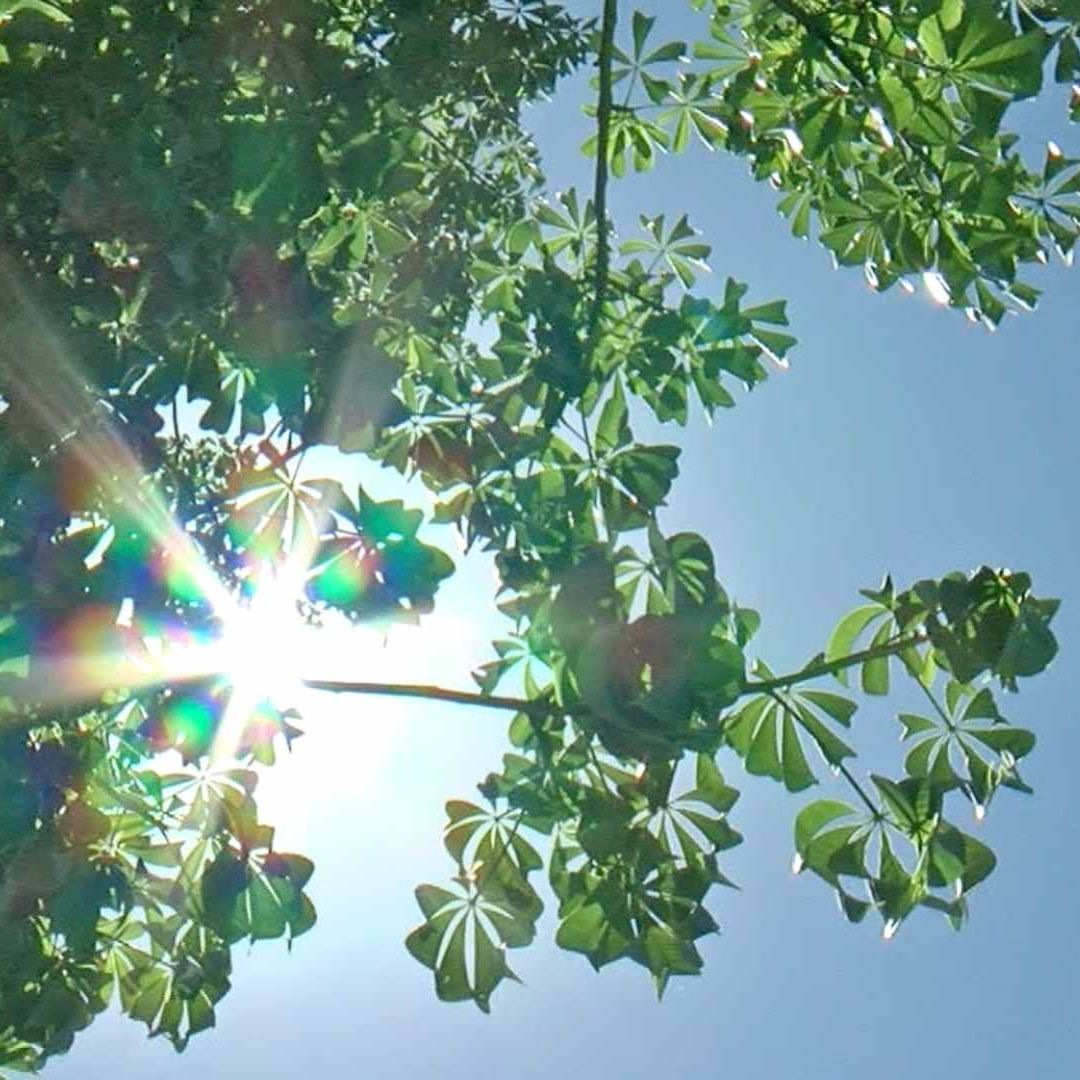 Frente Frío que Impactaría en Sonora fue Desviado