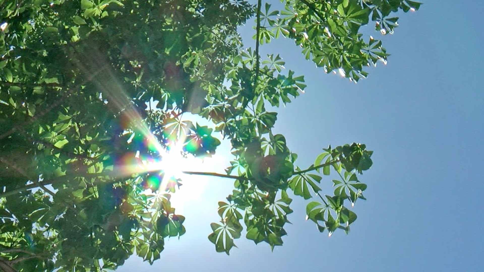 Frente Frío que Impactaría en Sonora fue Desviado