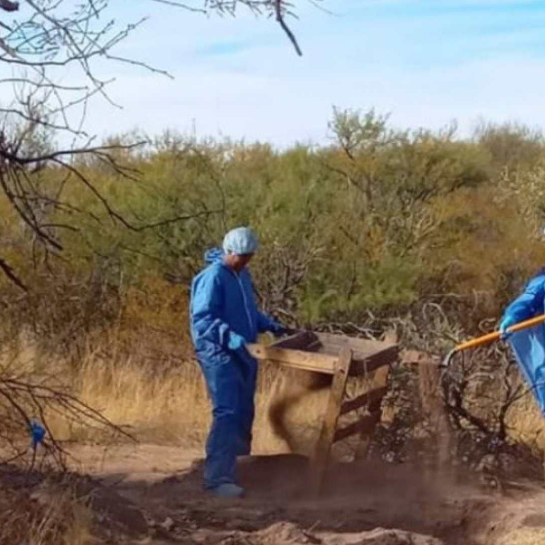 Localizaron Restos de 4 Cuerpos en Fosas Clandestinas en Ejido El Claro, Santa Ana.