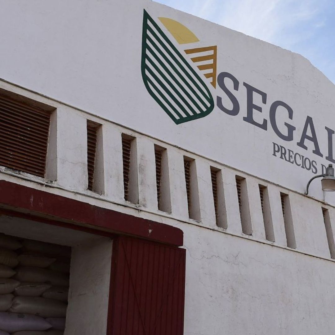 Uno de los Principales Implicados en el Caso de Fraude a Segalmex, Podría Quedar en Libertad