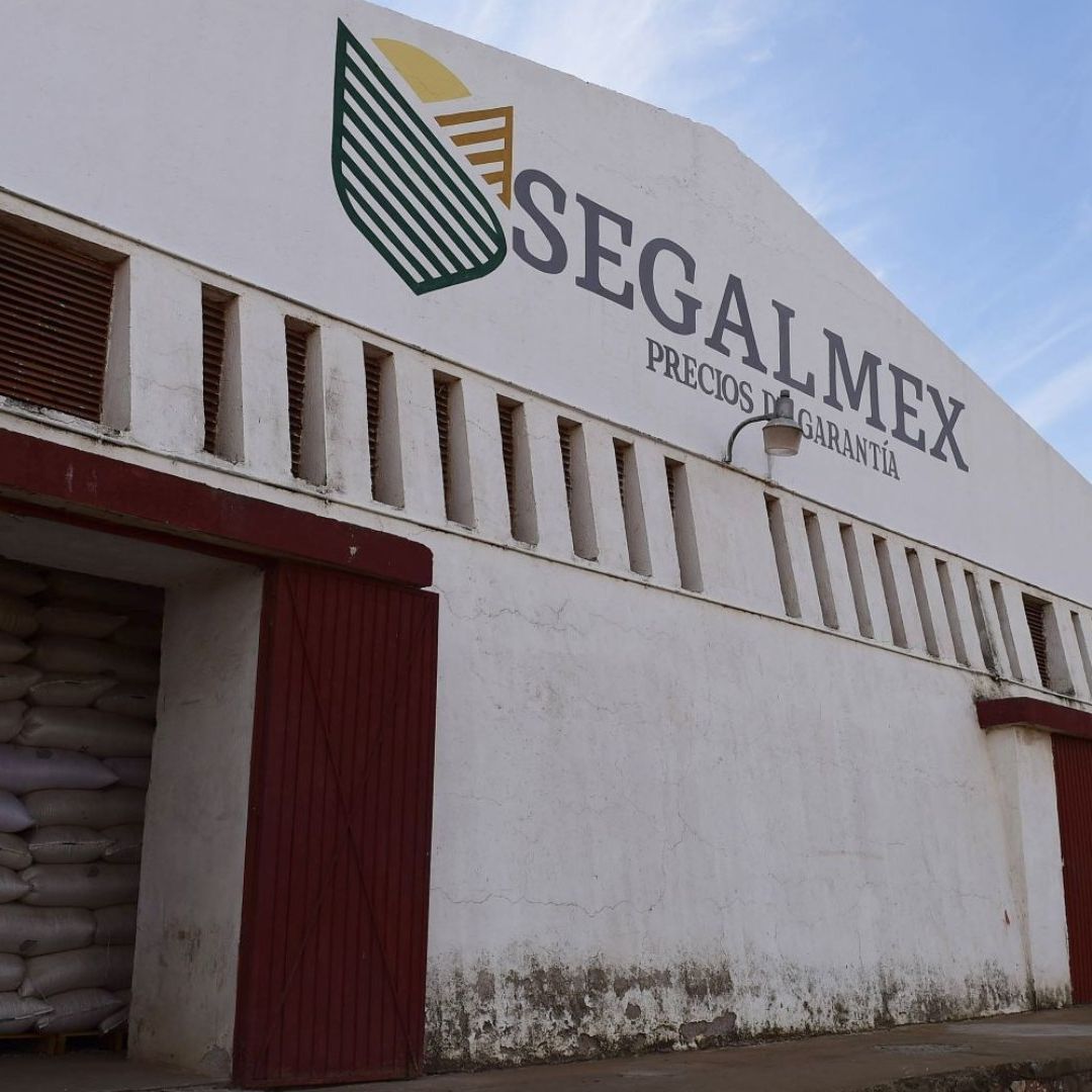Caso Segalmex: Quitan Prisión Preventiva a Empresario Implicado en Fraude
