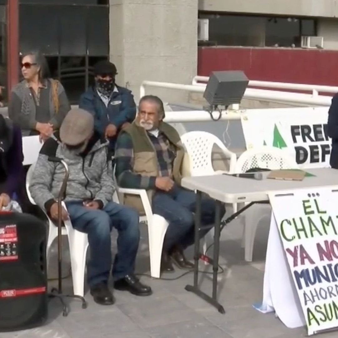 Integrantes de la asociación civil Árboles en Resistencia