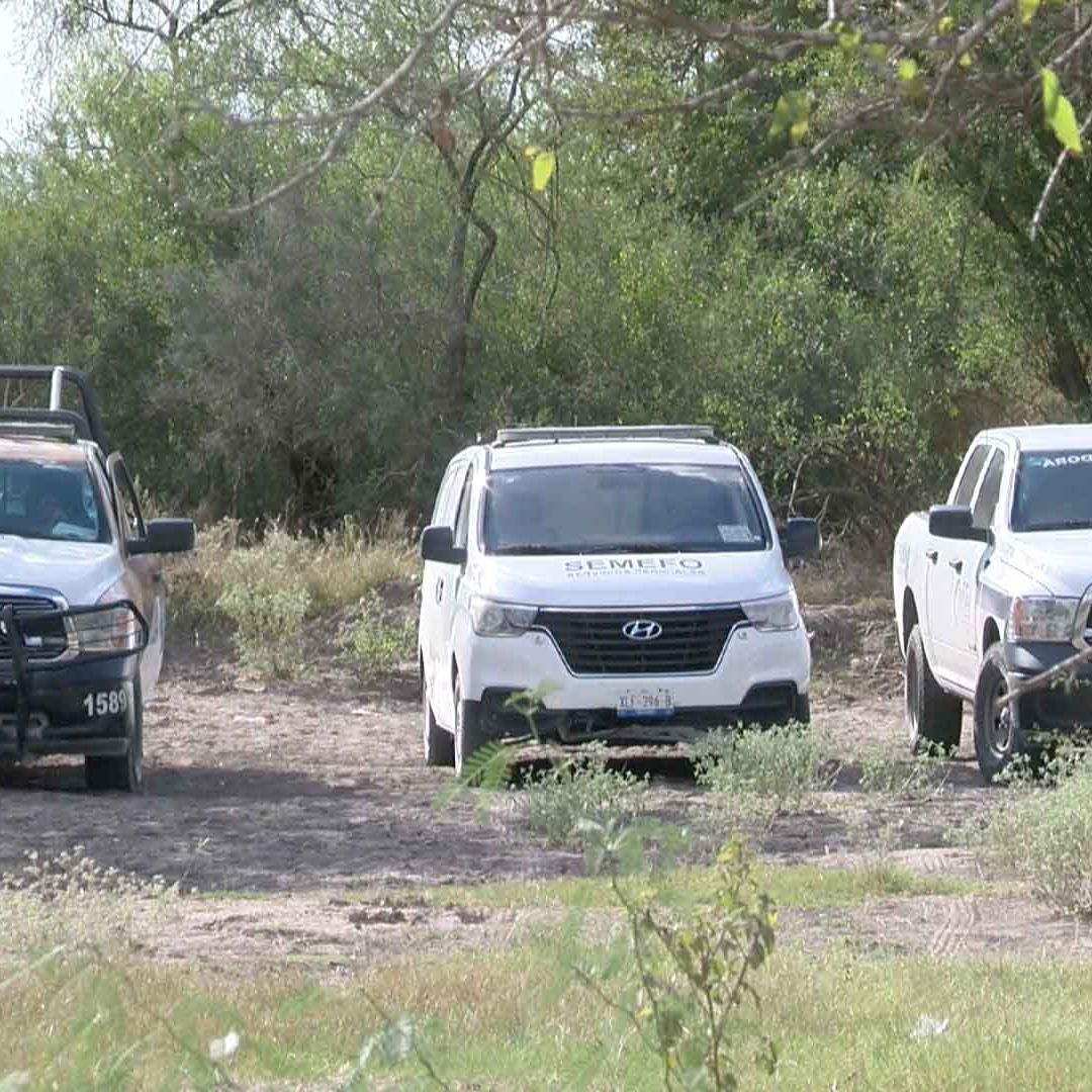 Colectivo de Búsqueda Reporta Hallazgo de Restos Óseos cerca de Carretera Reynosa-Monterrey