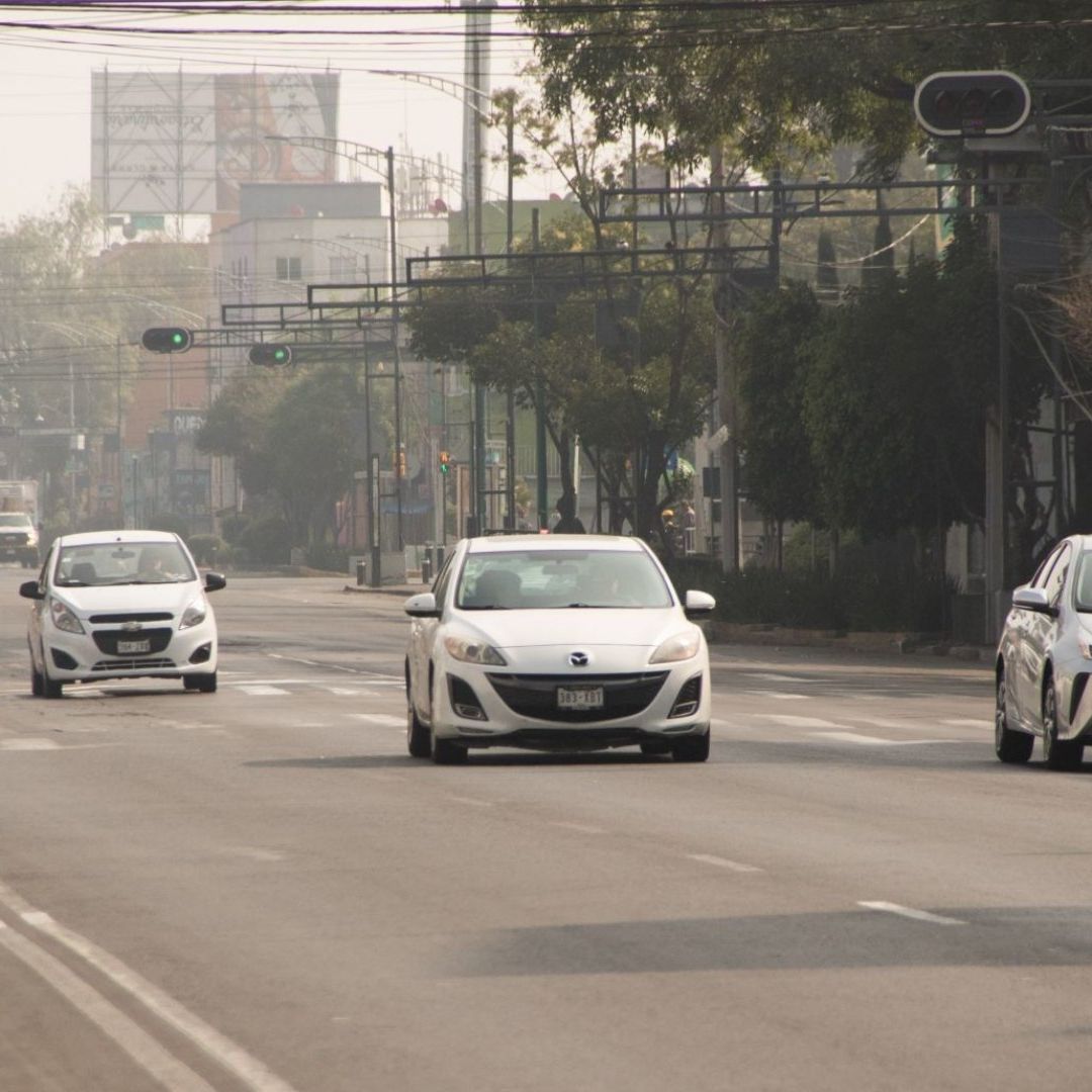 Hoy No Circula Viernes 29 de Noviembre de 2024 en CDMX y Edomex