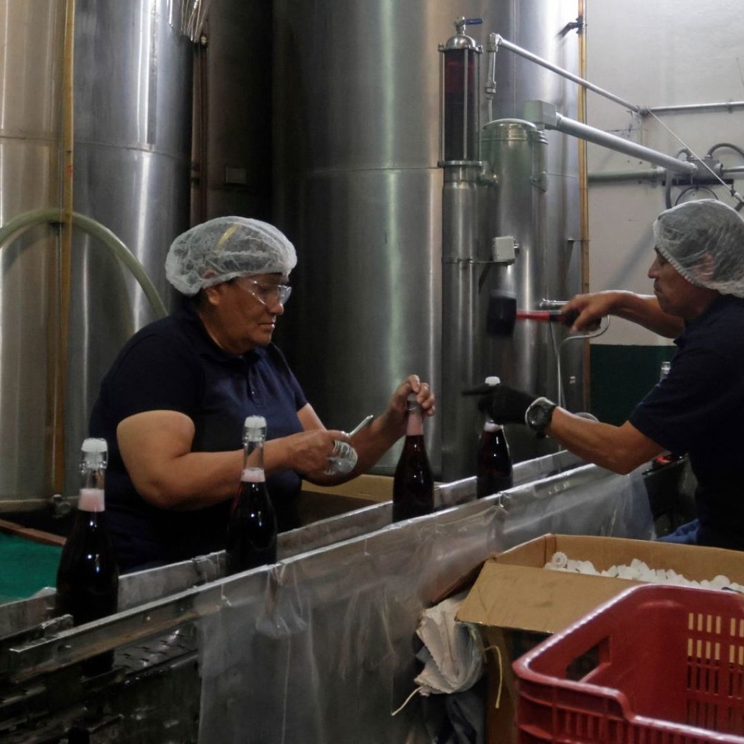 Publican 'Ley Silla' en el DOF: ¿Cuándo Entra en Vigor en México?
