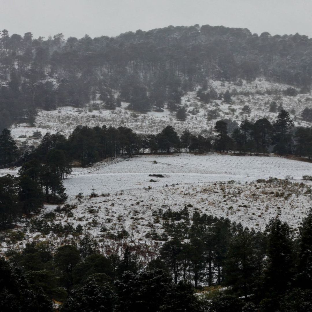 Pese a no contar contar con las características para la caída de nieve, cerca de CDMX hay zonas donde disfrutar este fenómeno.
