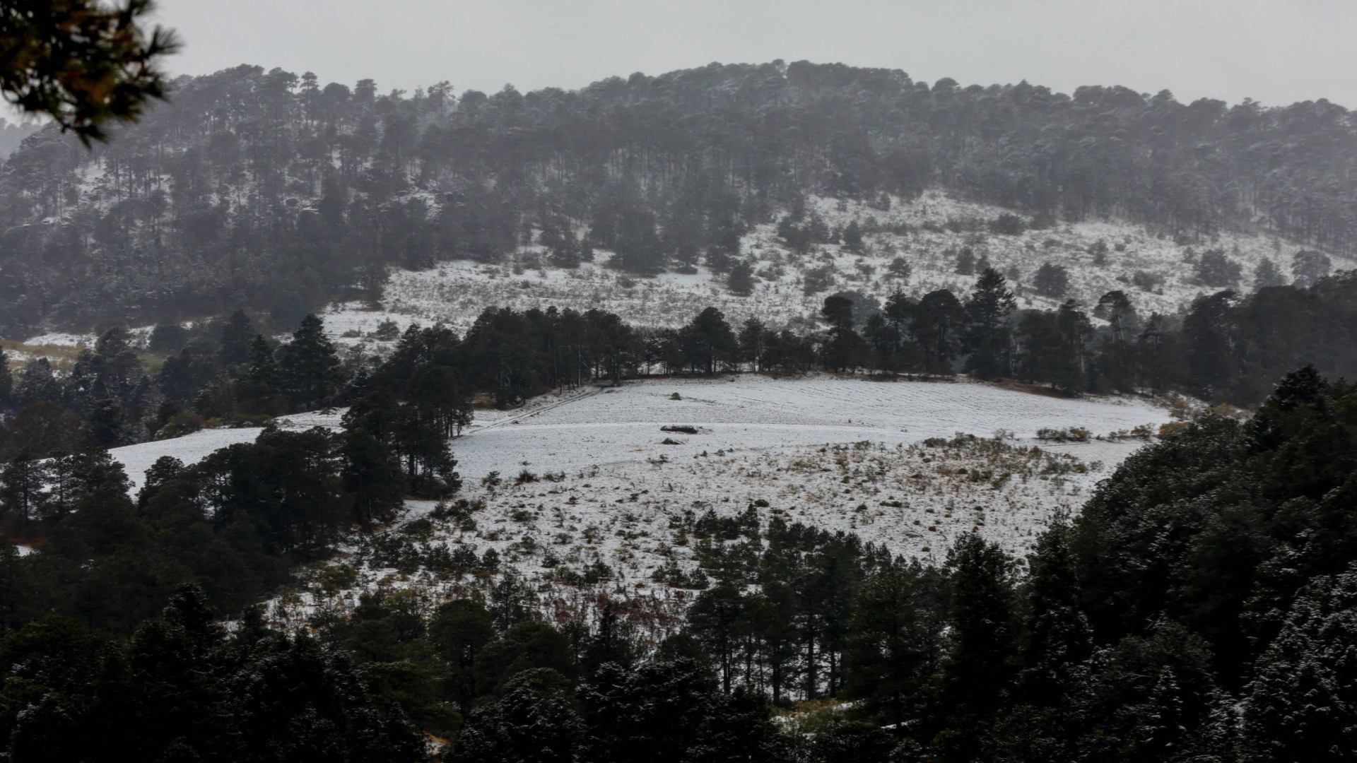 Pese a no contar contar con las características para la caída de nieve, cerca de CDMX hay zonas donde disfrutar este fenómeno.