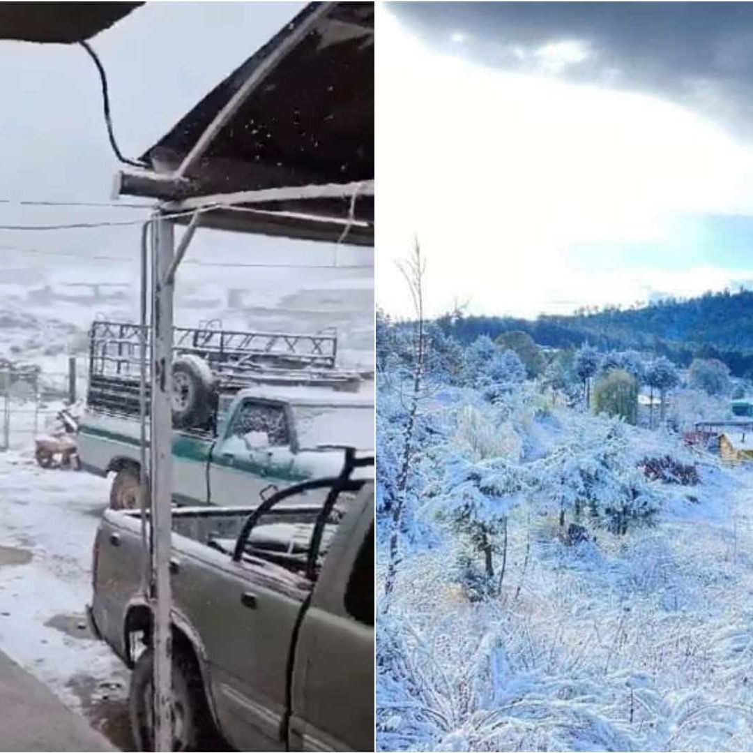 Caída de nieve Zacatecas