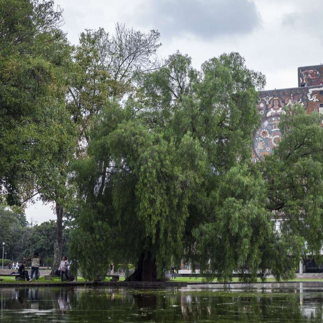 La Facultad de Química denuncia amenazas y lanza recomendaciones a su comunidad.