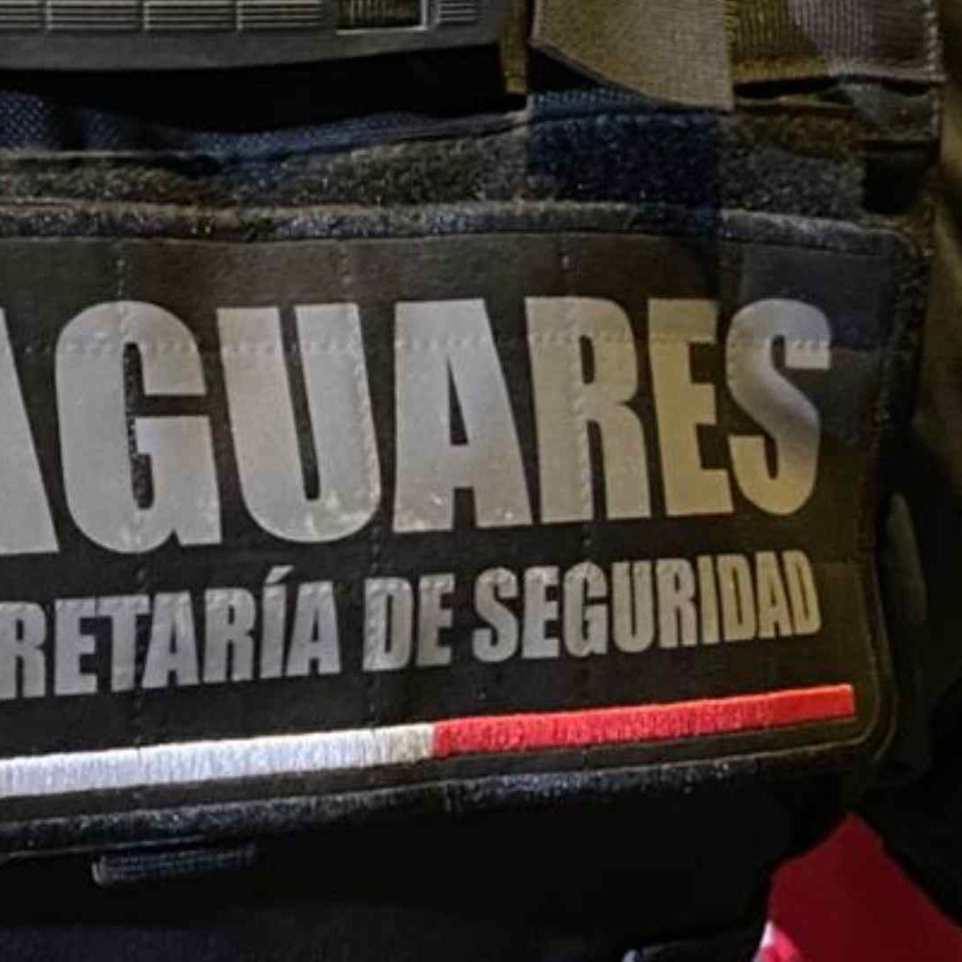 El sujeto tenía permisos falsos