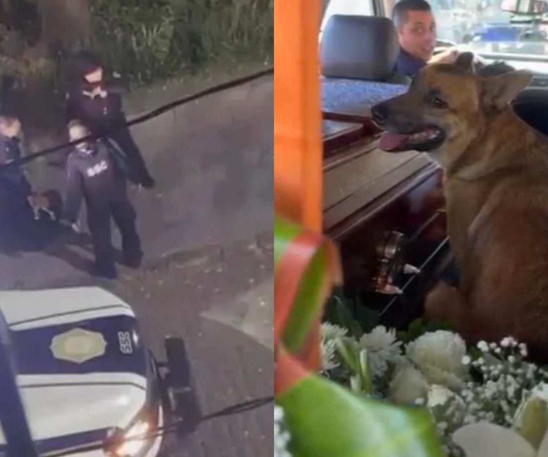 Entierran a Erick Omar, Joven Agredido por Policías; Aplauden a Su Perro Por Defenderlo del Ataque. Foto: N+