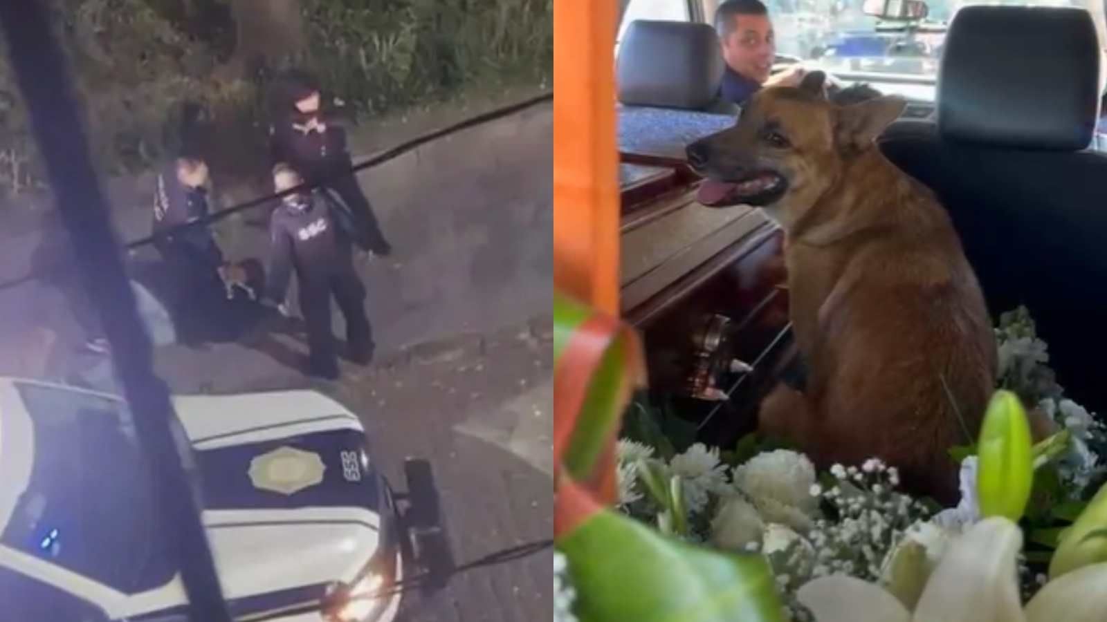 Entierran a Erick Omar, Joven Agredido por Policías; Aplauden a Su Perro Por Defenderlo del Ataque. Foto: N+