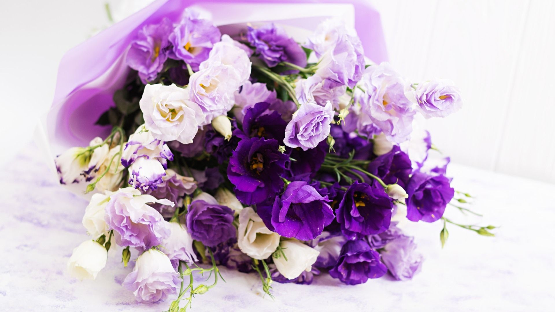 El 9 de noviembre día de las flores moradas por qué se regalan en México y a quiénes le dan su ramo