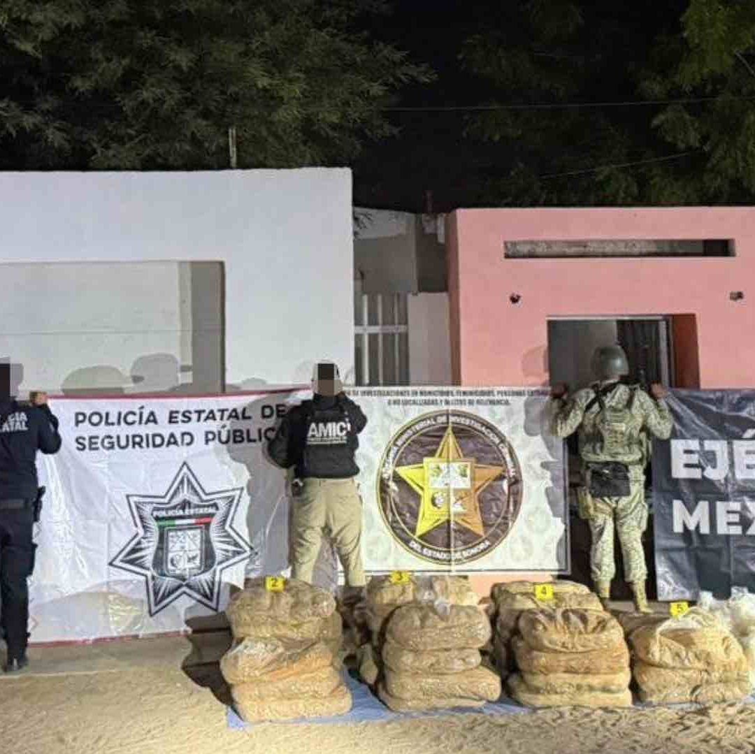 Aseguran Cerca de Media Tonelada de Narcóticos tras Cateo en San Luis Río Colorado