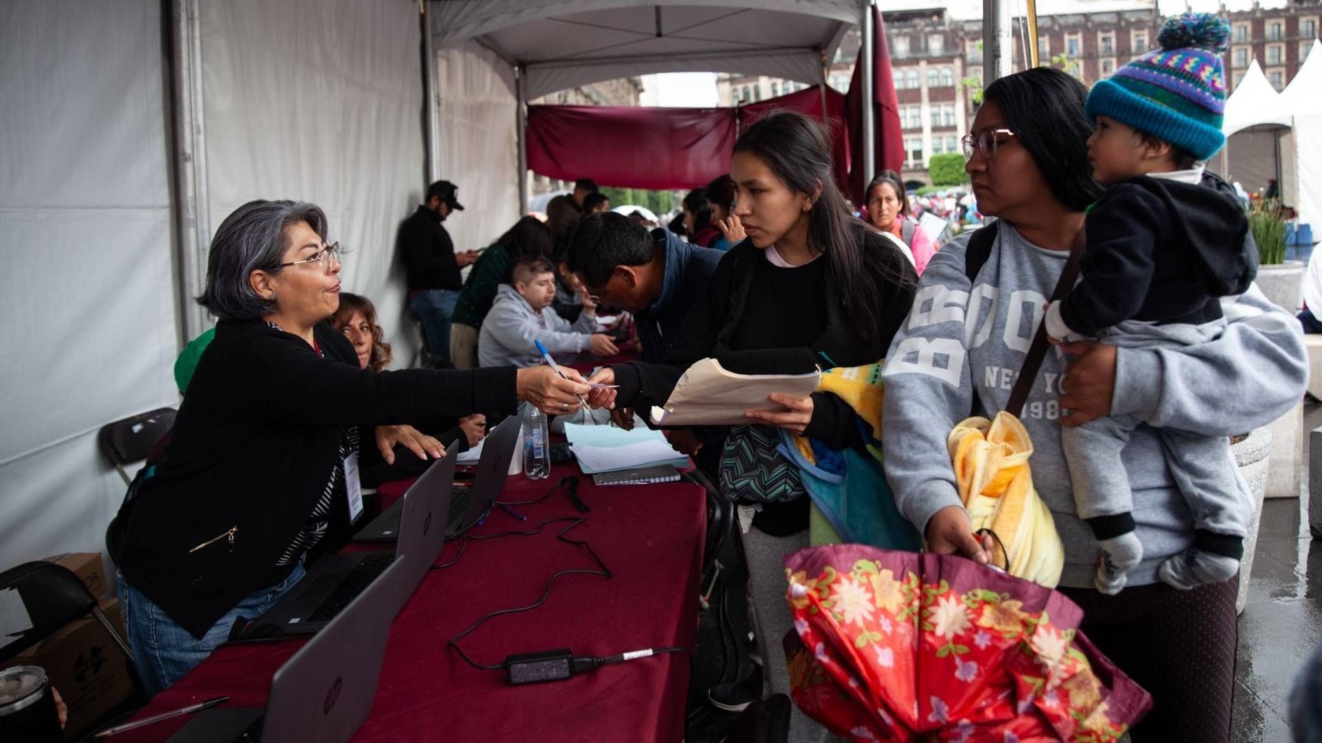 La Tarjeta Violeta 2026 Cuenta con Registro Abierto y Estos Son los Requisitos