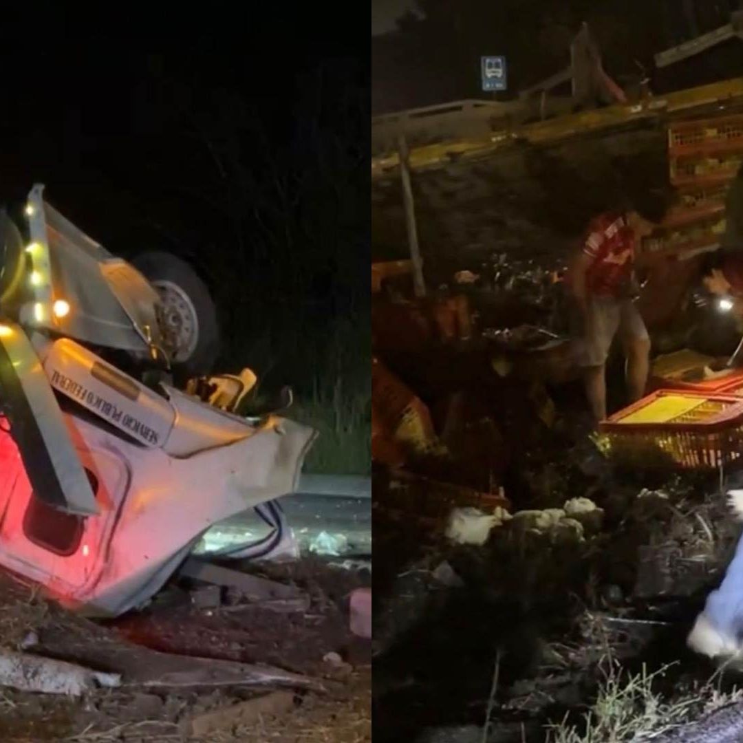 Camión Cargado con Pollos Vuelca en Carretera Paso del Toro Acayucan La Laguna Medellín de Bravo Veracruz Hubo Rapiña