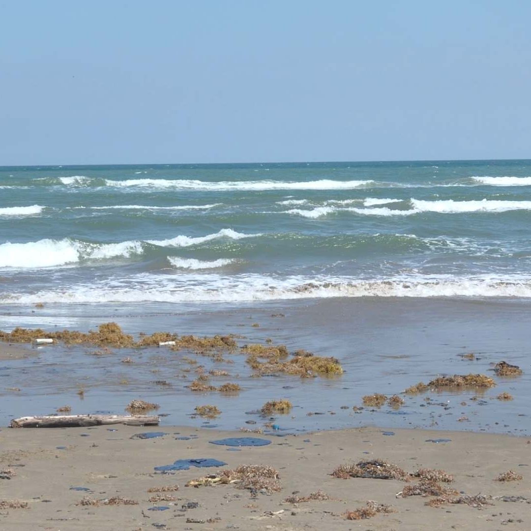 Derrame de Hidrocarburo en Veracruz Afecta Varios Kilómetros de Litoral del Golfo de México Según Ambientalistas