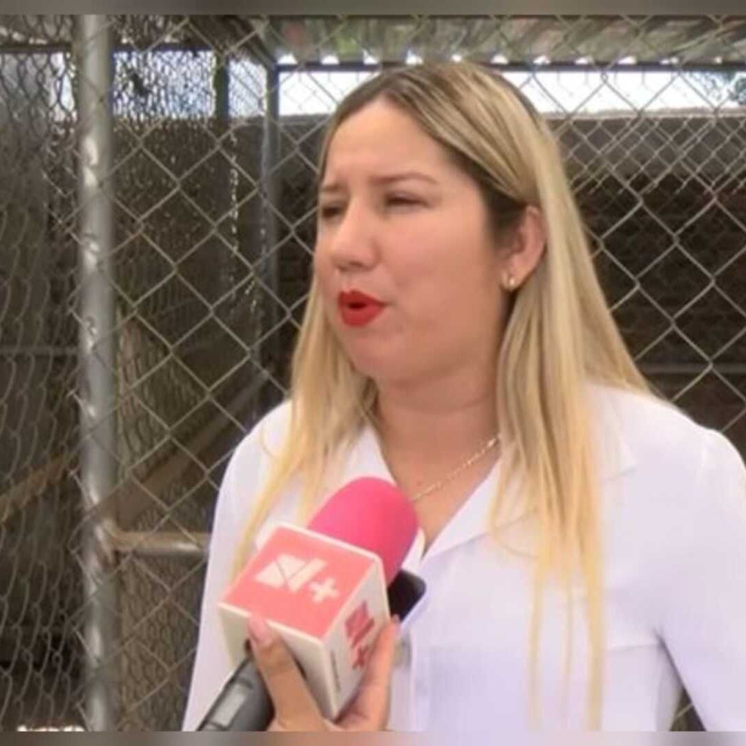 Localizan a Decenas de Animales Muertos en Culiacán; Investigan Relación con Culto