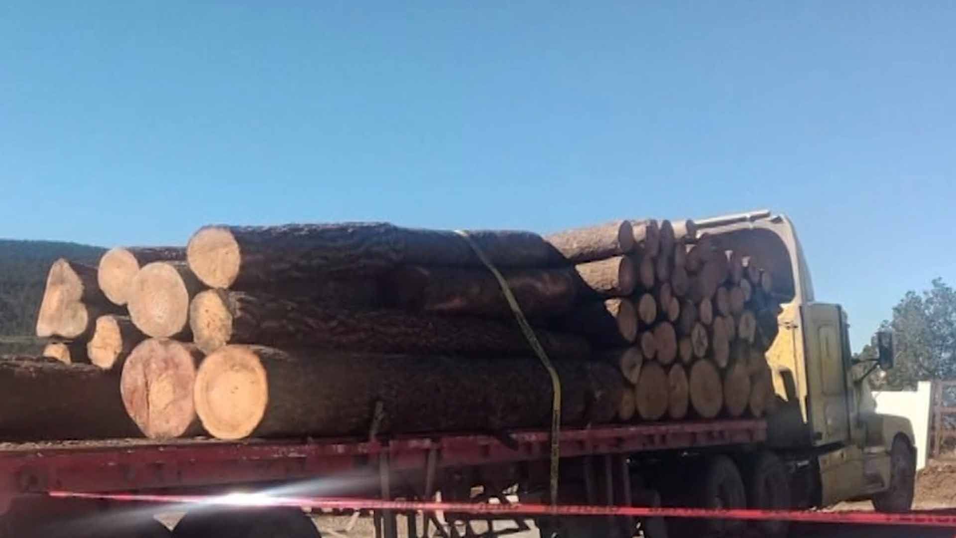 Muere Hombre de la Tercera Edad Aplastado por Tronco en Aserradero de Arteaga